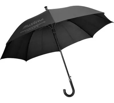 Charles Dickens Regenschirm / Wanderstock