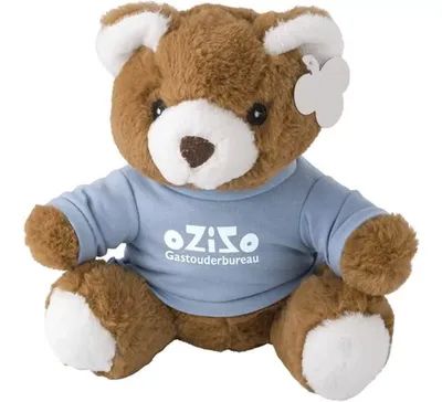 Teddybär mit T-Shirt